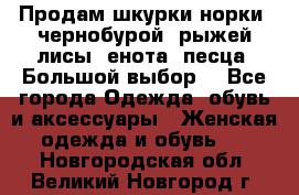 Продам шкурки норки, чернобурой, рыжей лисы, енота, песца. Большой выбор. - Все города Одежда, обувь и аксессуары » Женская одежда и обувь   . Новгородская обл.,Великий Новгород г.